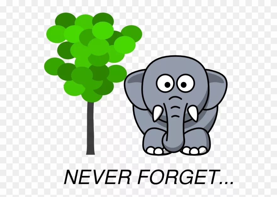Elephant&#039;s memory. Элефантс мемори. elephants never forget. memory like an elephant.