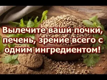 Здоровье почки печень