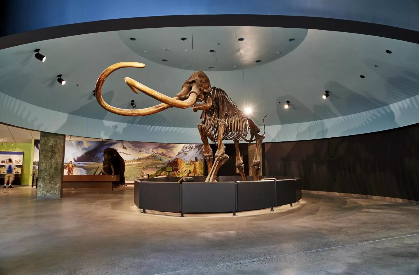 The museum had. Ранчо ла Брея Лос Анджелес. Музей la Brea tar Pits. Ла-Брея (2021) (la Brea). Смоляные ямы ла-Брея музей.