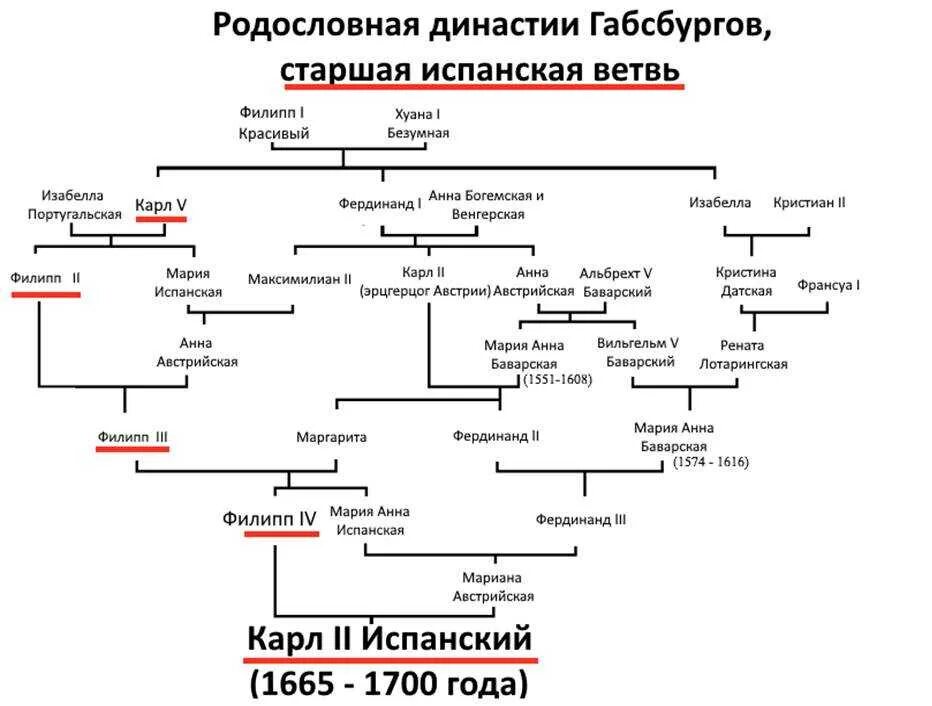 Рассказ новый родственник. Родословная Габсбургов Династия. Династия Габсбургов в Испании Древо. Династия Габсбургов генеалогическое Древо. Династическое Древо Габсбургов.