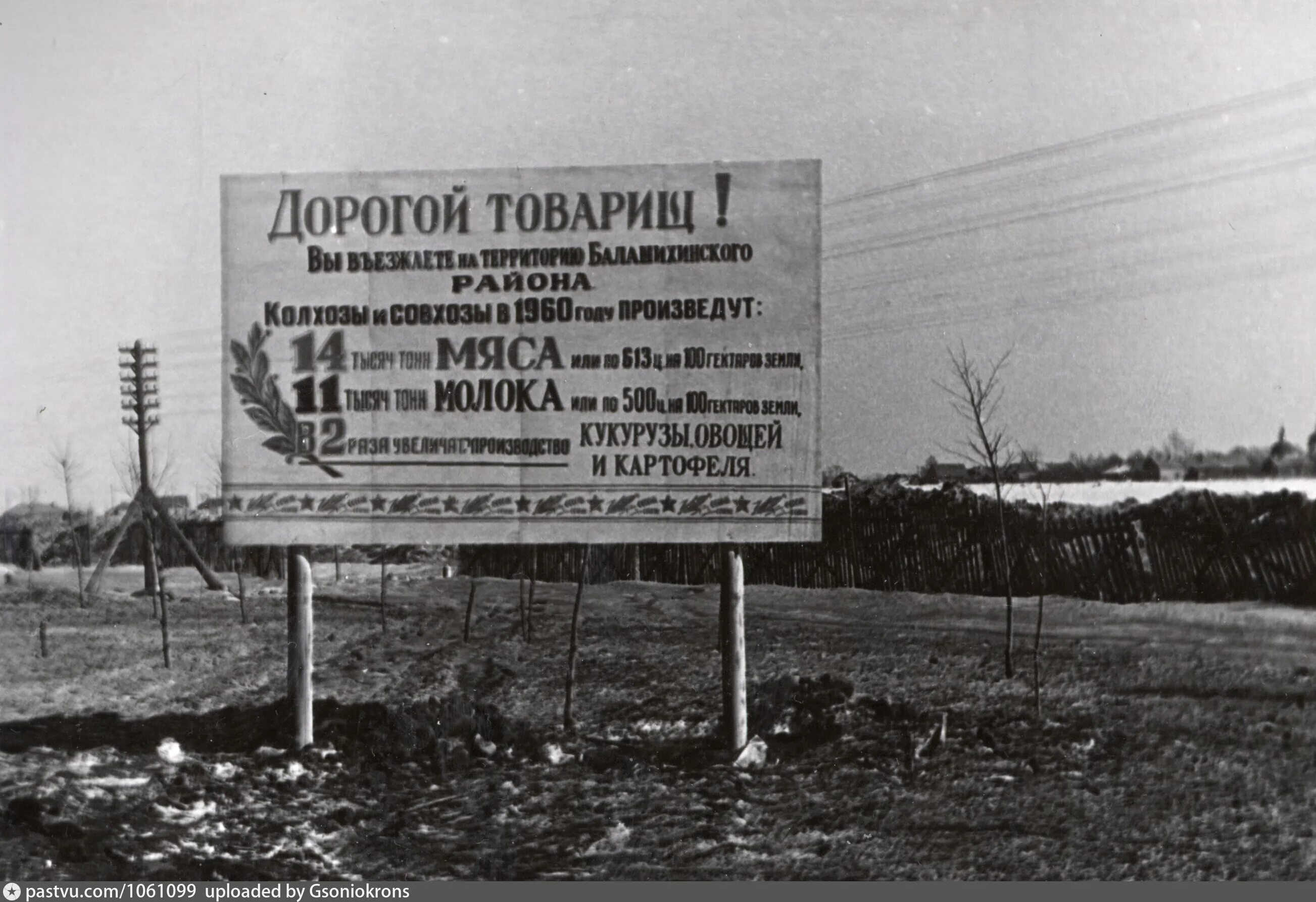 Совхоз 1 мая. Колхоз им кирова балашиха. совхоз первомайский московская область балашиха. балашихинский район май 1941 года. балашиха въезд.