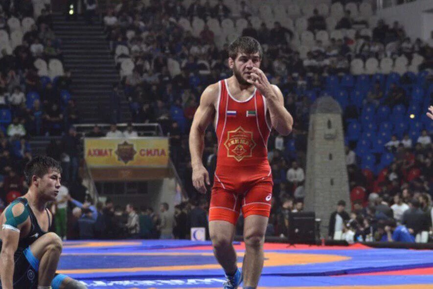 зелимхан абакаров вольная борьба. зелимхан абакаров. зелимхан абакаров албания. зелимхан абакаров борец. асельдар чемпион по боевому самбо дагестан.