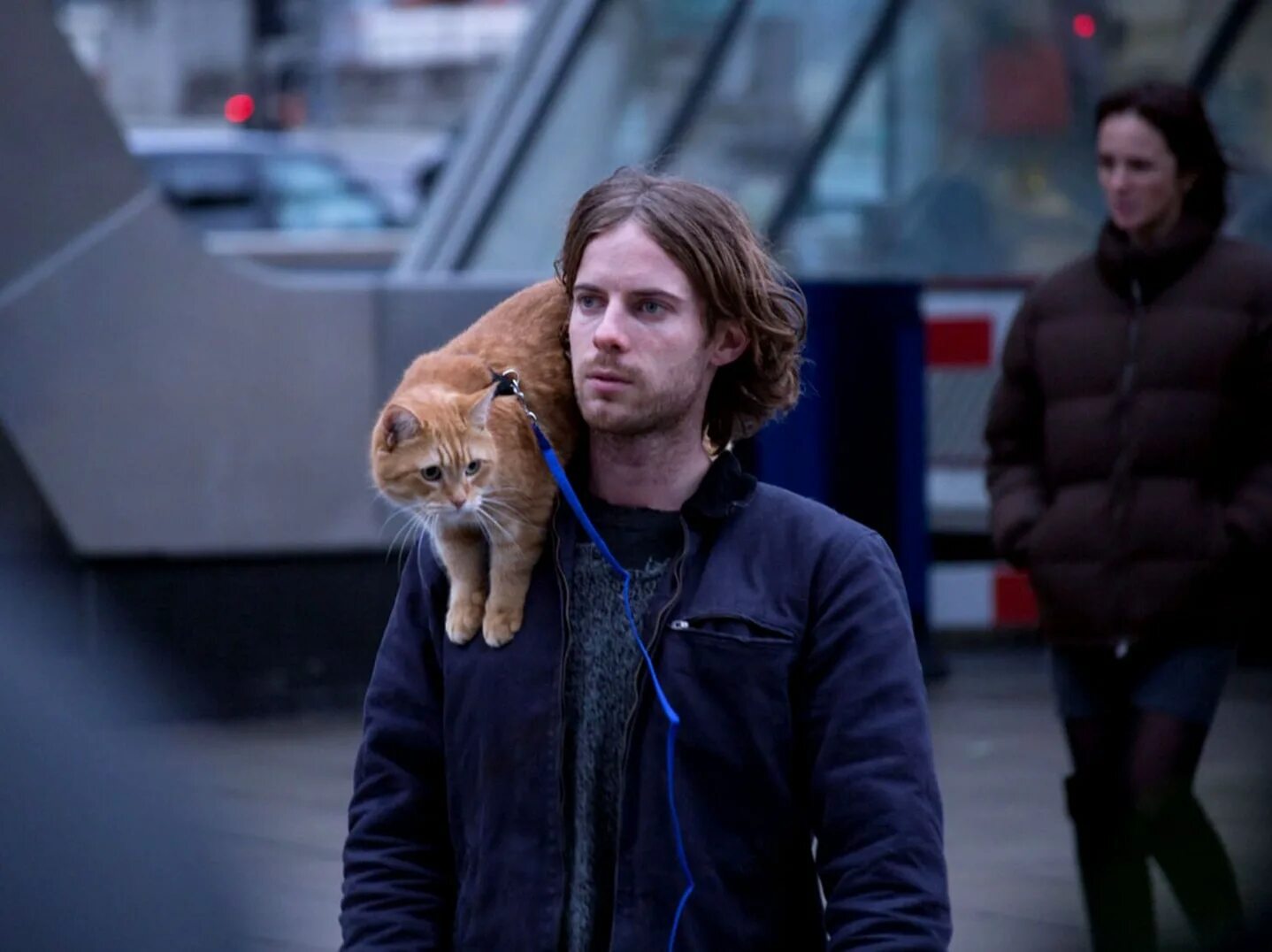 Джеймс боуэн. Джеймс боуэн. Джеймс боуэн 2022. Уличный кот по кличке боб (2016) (a street cat named bob). Люк тредэвэй кот боб.