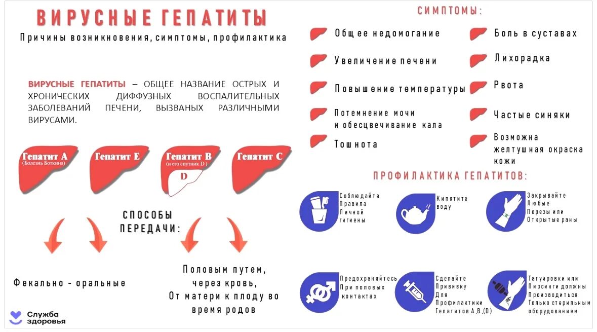 Что нужно знать о гепатите с. Гепатит а что это за болезнь симптомы.