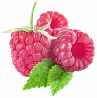 Картинки ягоды малина для детей