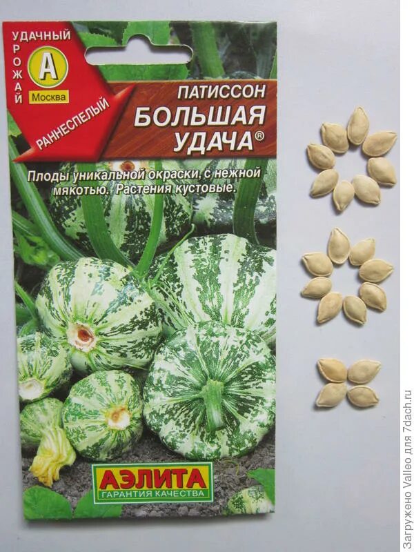 Сорт картофеля удача. Удача характеристики. Семена картошки удача. Сорт картофеля удача. Картофель пикассо.