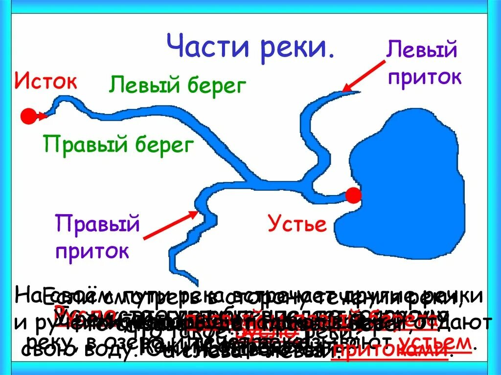 Какие притоки у оки