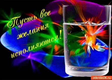 Поздравляю с исполнением мечты