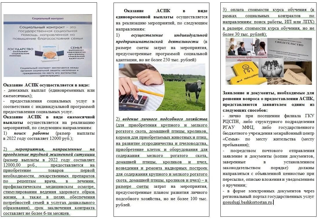 Аспк в башкирии для малоимущих семей 2022. Кожевенное дело в башкирии. Государственная социальная помощь социальный контракт. Социальный контракт для малоимущих семей. Социальный контракт.