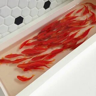 3d смола