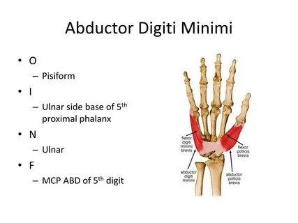 Abductor
