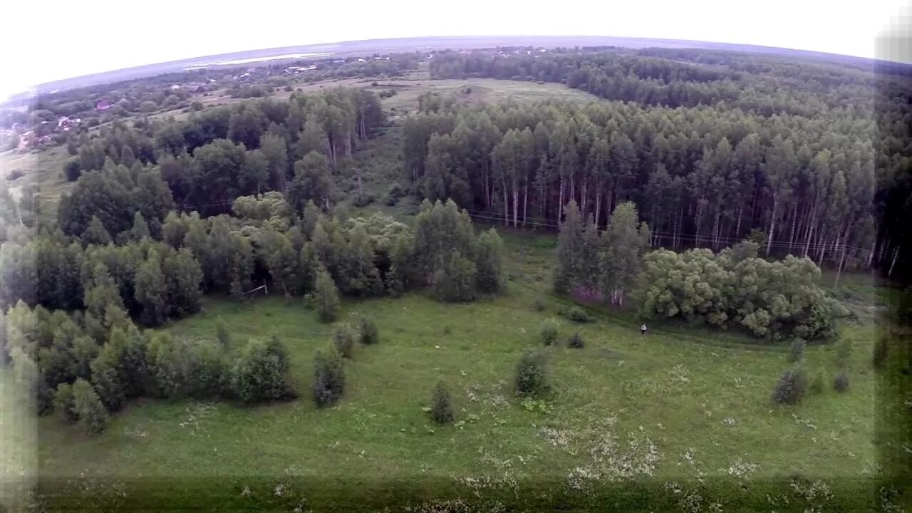 Калужские и тульские перелески. Луковский лес Рязань. Луковский лес Борки. Леса Рязанской области. Леса Рязанской области вид сверху.