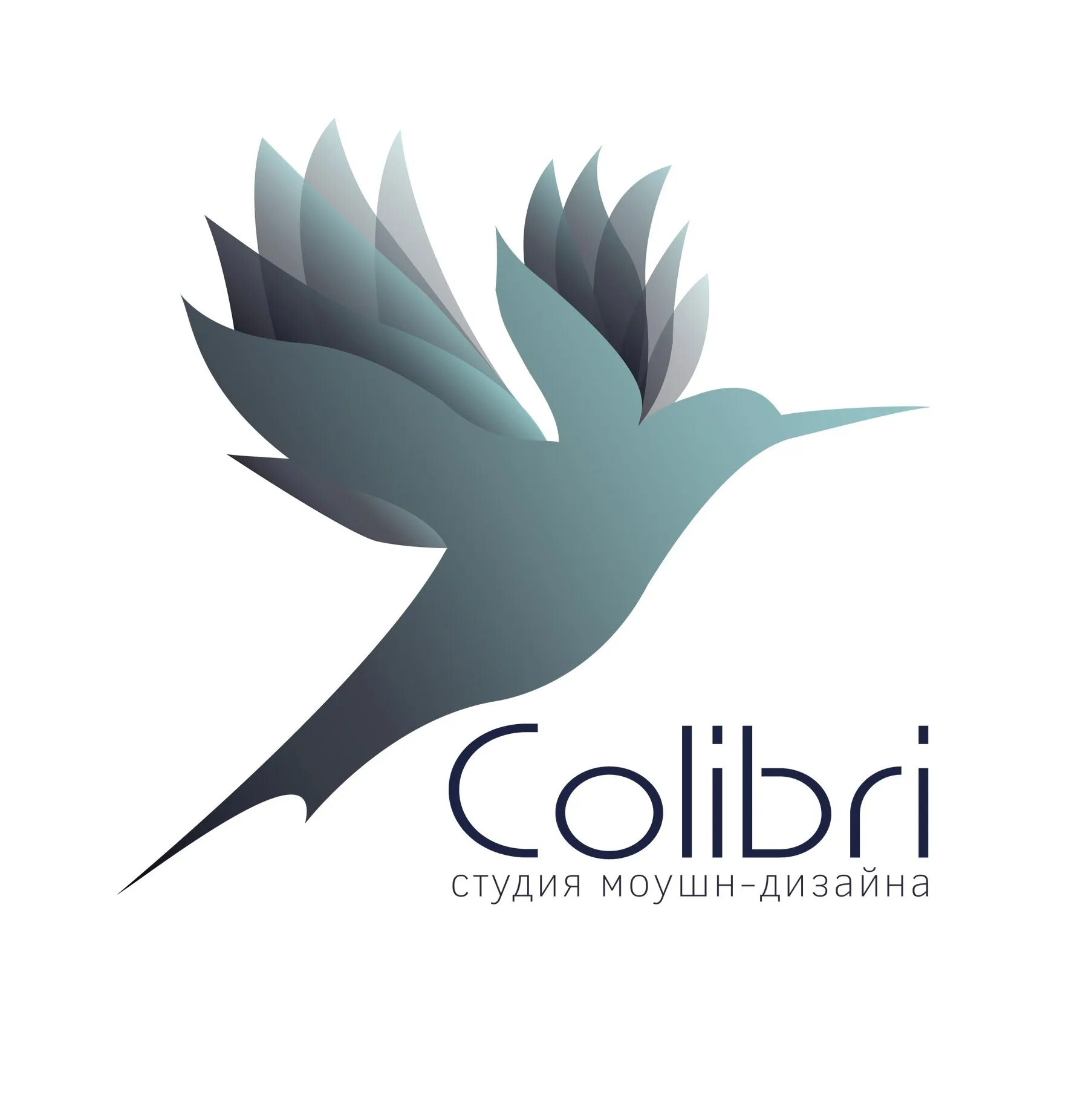 Colibri clean. Колибри логотип. Колибри надпись. Колибри студия. Колибри дизайн.