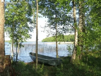Погода удальцово ленинградская область