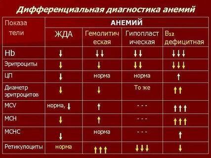 Дифференциальная диагностика анемий