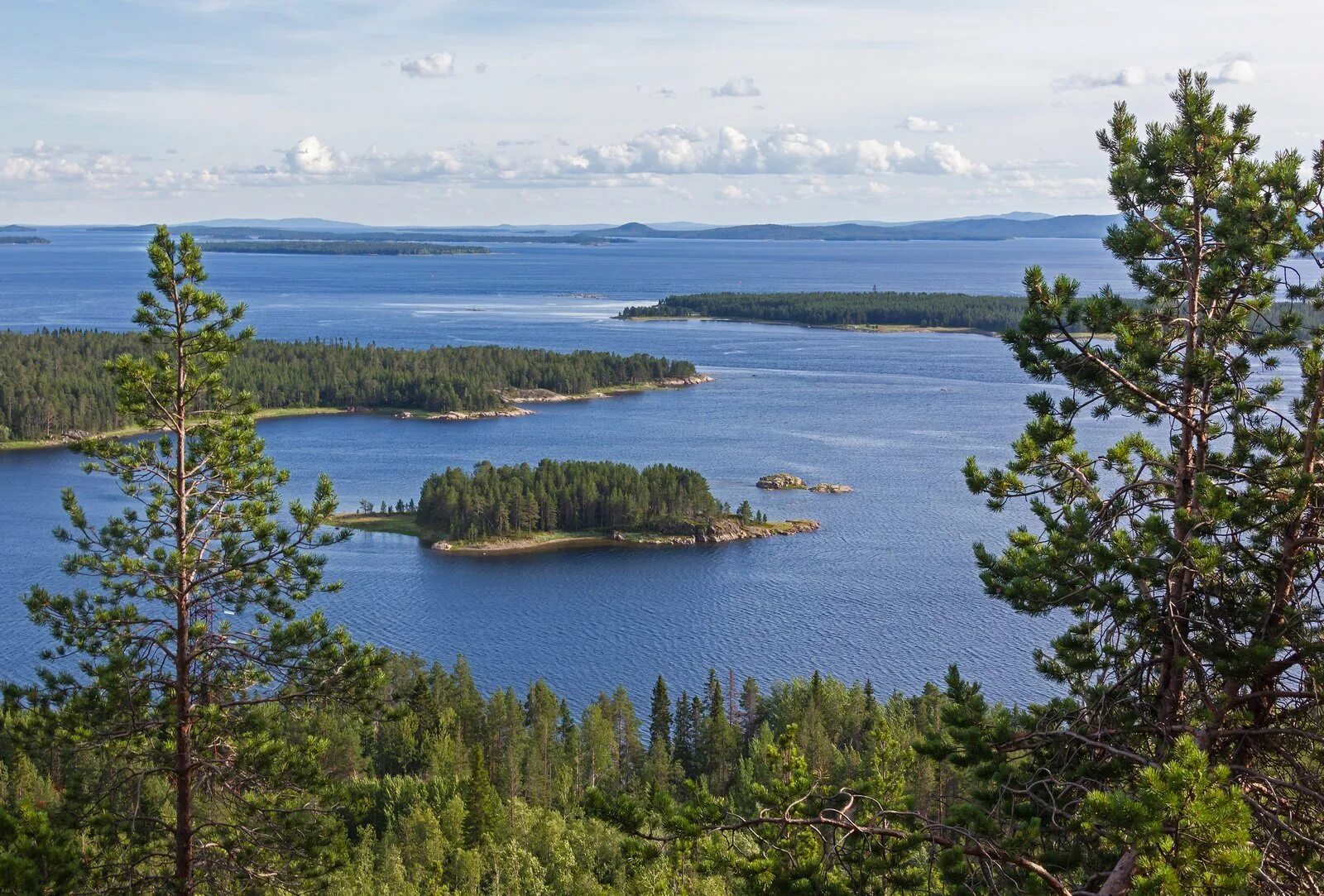 Тип белого моря. Белое море кандалакшский район. белое море кандалакша. кандалакша берег белого моря. кандалакшский залив белого моря.