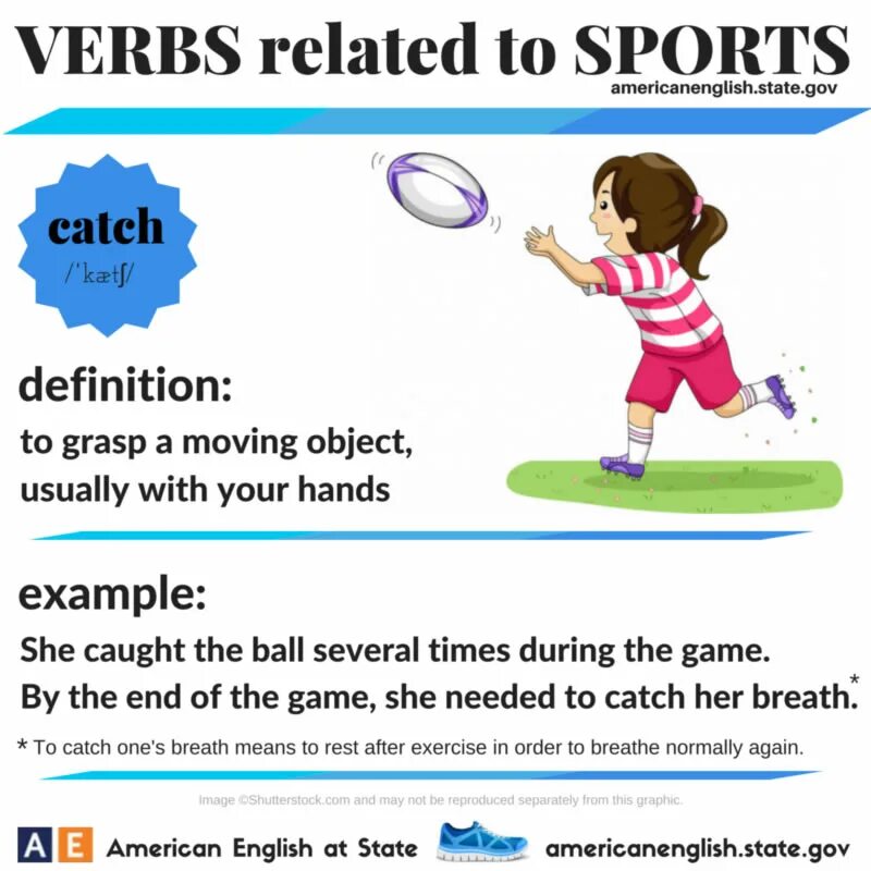 Sport verbs. Sport English Vocabulary. Релейтед верб. Sport Vocabulary in English. Sport verb do