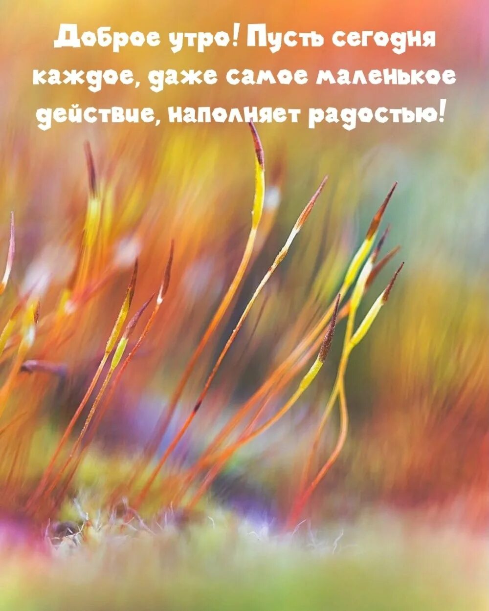 Утро всегда доброе а дальше сами. Доброе утро картинки с надписями. доброе раннее утро. доброе утро, мир. необычные картинки с добрым утром с надписями.