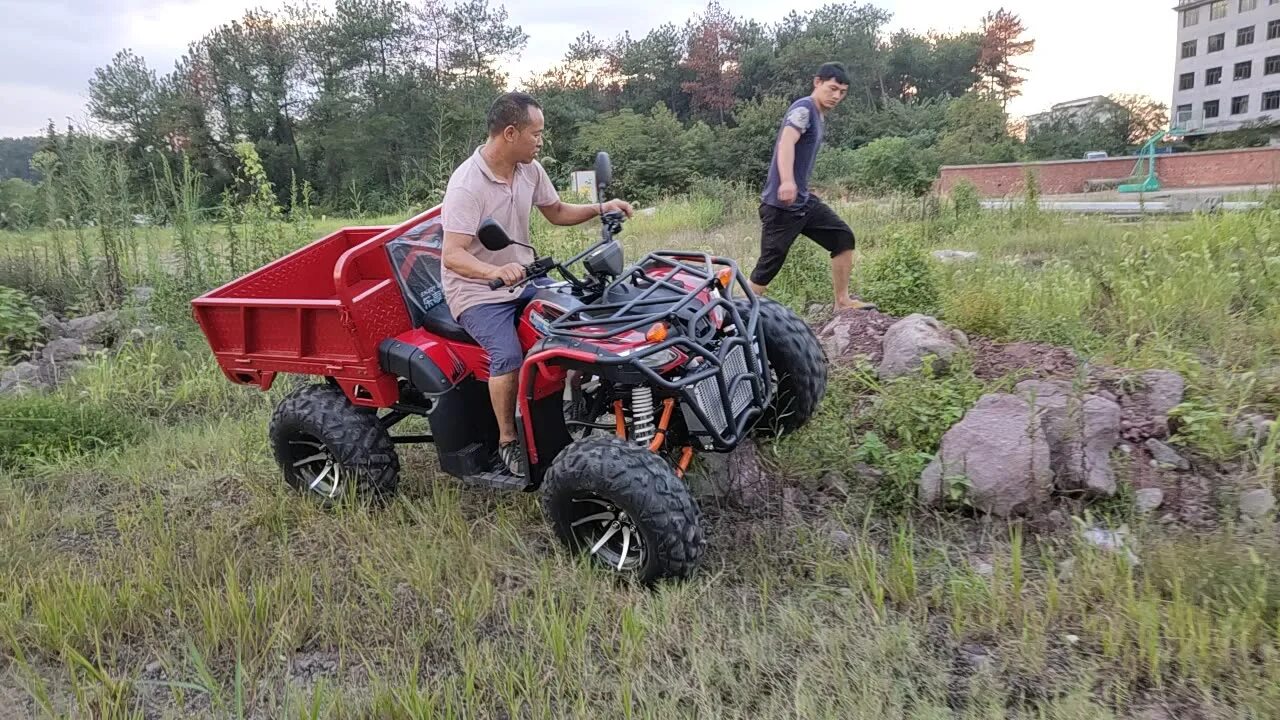 Недорогой квадроцикл 4х4 купить. Квадроцикл Zongshen Taiga 4x4 350cc. 250 Cc atv 4x4. Agy 250cc квадроцикл 4x4 EEC. Багги Zongshen 250 Farmer UTV.