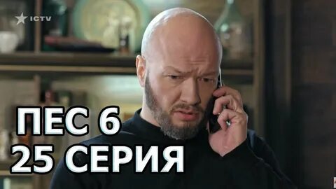 Пес 6 9