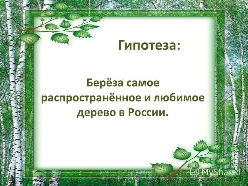 Тема мое любимое дерево. Сочинение на тему моё любимое дерево. Моё любимое дерево берёза. Самое распространенное дерево в России берёза. Презентация на тему мое любимое дерево.