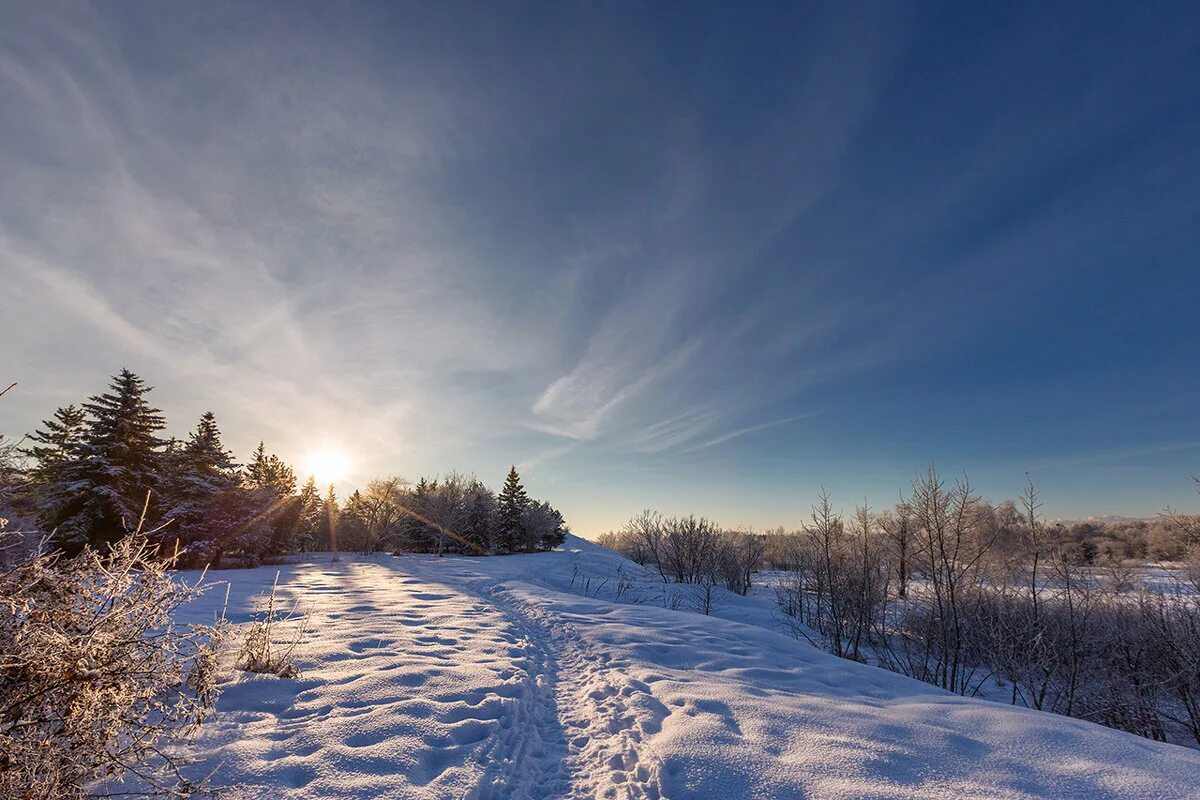 снежная москва 2021. зима 2021. какая будет зима в том году. зима в санкт-петербурге 2022 2023. какая будет зима в том году.