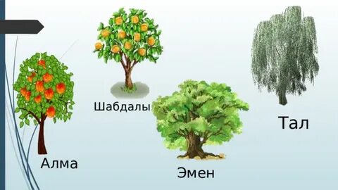 Вируссыз толық метражды порно фильмдер