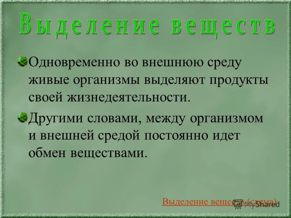 Условия для жизни живых организмов