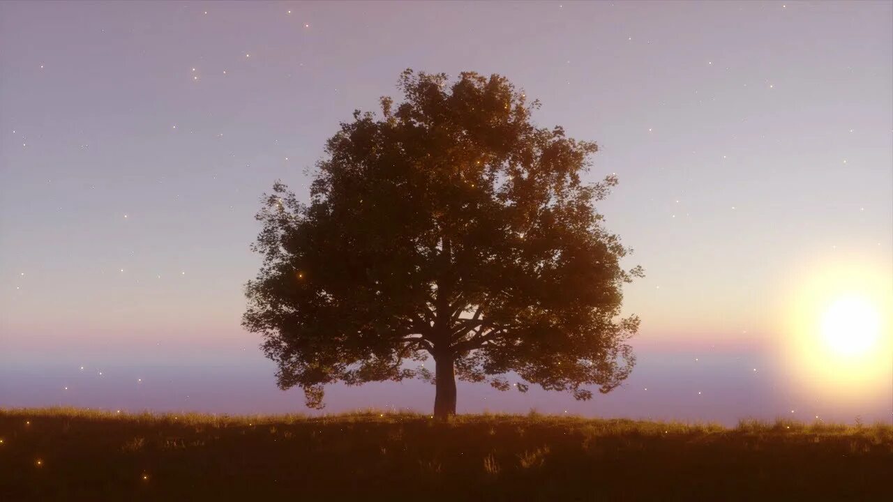 Create tree. Blender Tree. Дерево в блендер. Blender Генератор деревьев. Красивое дерево .блендер.