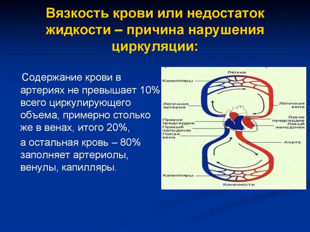 Причины циркуляции. Вязкость крови. вязкость в циркуляции крови. причины вязкости крови. вязкость венозной крови.