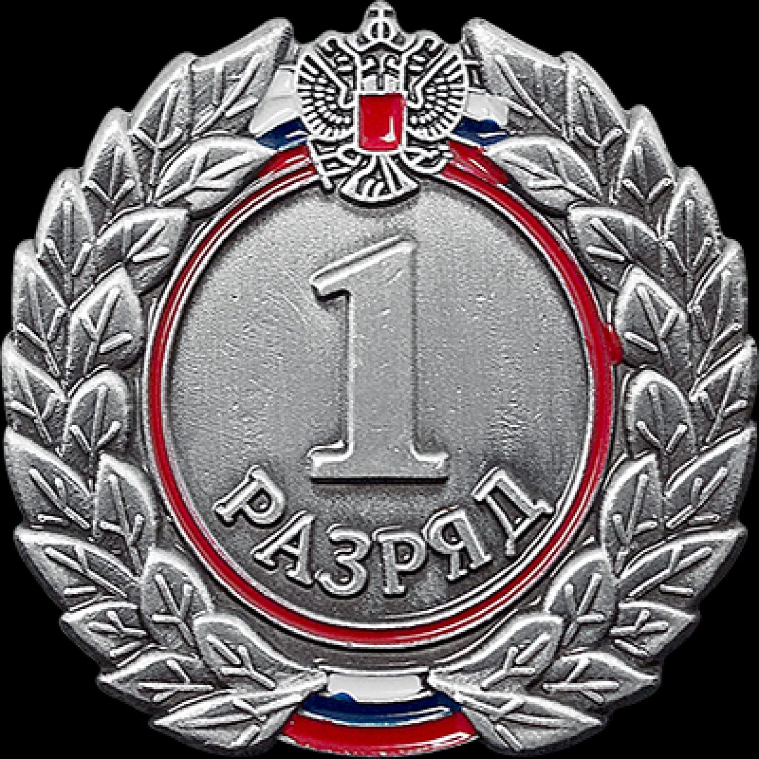 Спортсмены первого разряда. Знак 1 спортивный разряд. Первый спортивный разряд значок. Значок "1 разряд". Значок первый взрослый разряд.