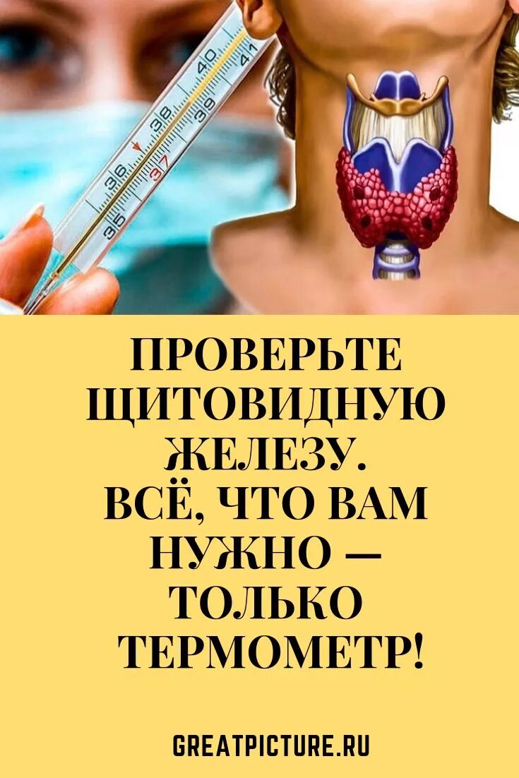 Как определить щитовидную железу у женщины. Проверьте щитовидную железу. проверить щитовидную железу. как проверяют щитовидк.