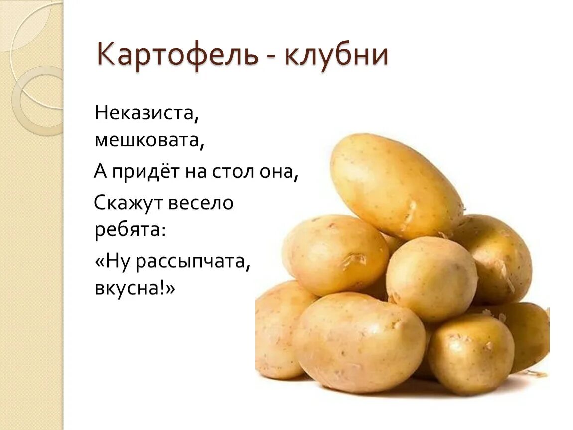 Картошка овощ или фрукт