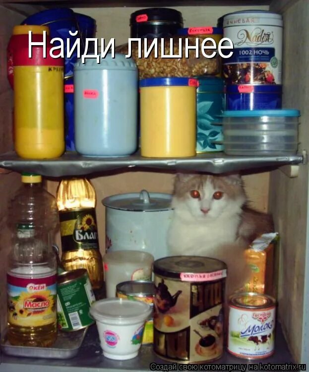 сочкует или сачкует. сачковать. не сачковать. сочкует или сачкует. сочкует или сачкует.