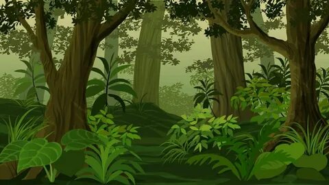 Jungle 74