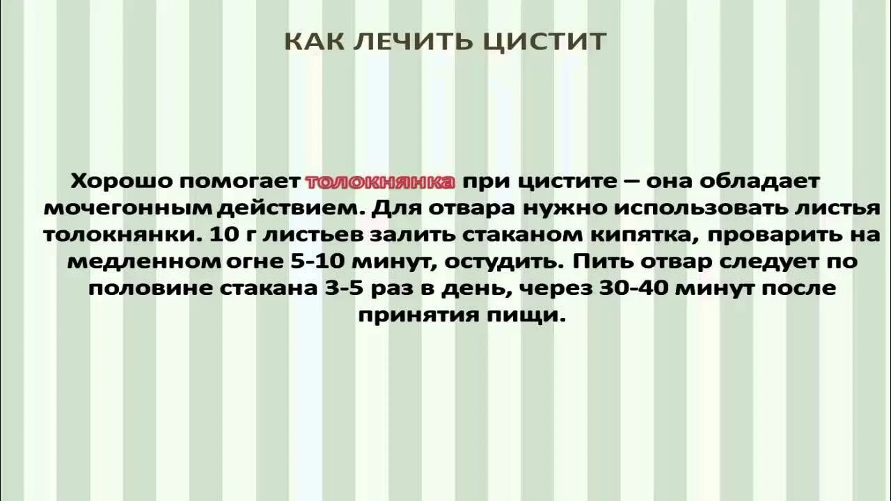 Как лечить цистит у женщин народные. Лечение цистита народными средствами Russianhunt интернет магазин. Лук от цистита. Как лечить цистит луком. ЗОЖ цистит народного средств.