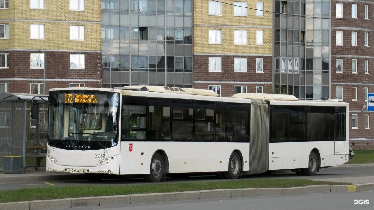 172 маршрут автобус. Автобус спб 172. Лиаз 6256. Лиаз 6213 161751. Новый лиаз 6213.