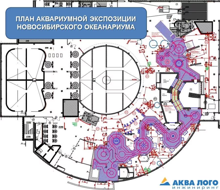 Океанариум схема. Океанариум СПБ план. План океанариума. Приморский океанариум план. Планировка океанариума.