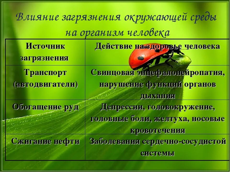 Влияние окружающей среды на развитие организмов. Влияние загрязнения окружающей среды на человека. Окружающая среда влияние на здоровье. Влияние окружающей среды на организм. Влияние загрязнения на окружающую среду.