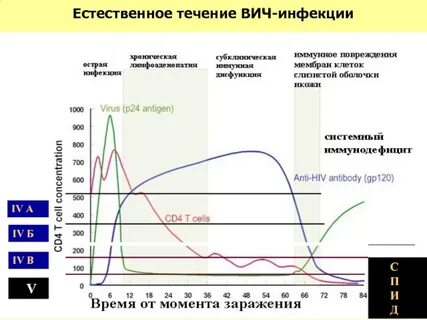 Естественное течение жизни