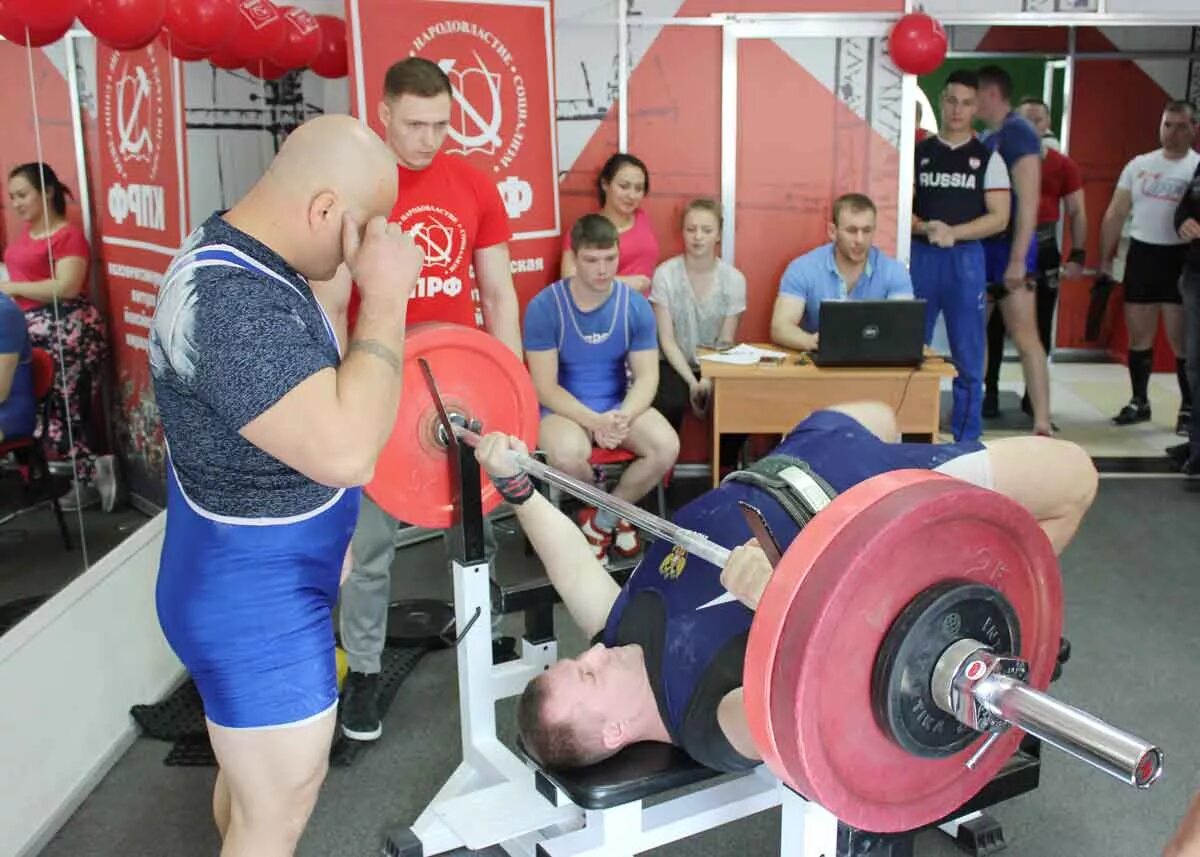 Сайт клуба медведь. Медведь спортзал Благовещенск. Спортклуб КПРФ. Спортивный клуб медведь Благовещенск. Спортклуб медведь.