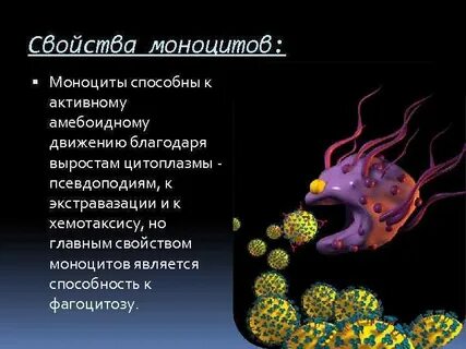 Способны к передвижению