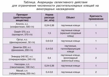 При какой температуре обрабатывать от клещей участок
