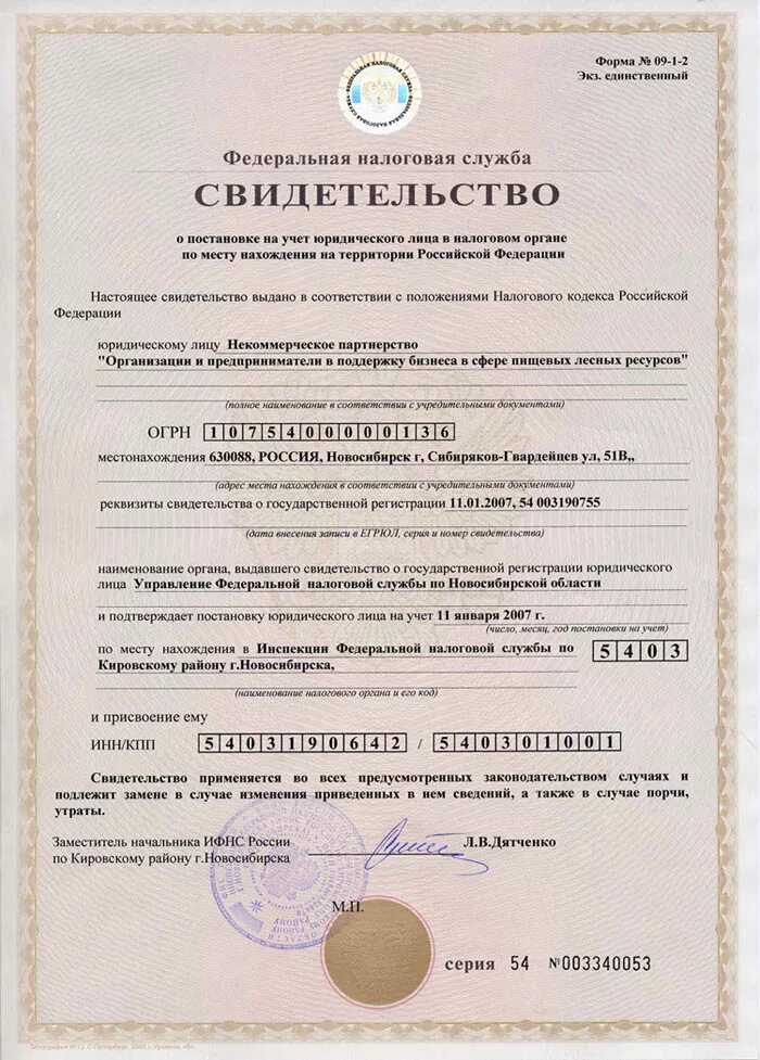 Инн 6162089317. Свидетельство о постановке на налоговый учет. Свидетельство ИНН. Свидетельство налогового органа о постановке на налоговый учет. Свидетельство о постановке на учет в налоговом органе ИП.