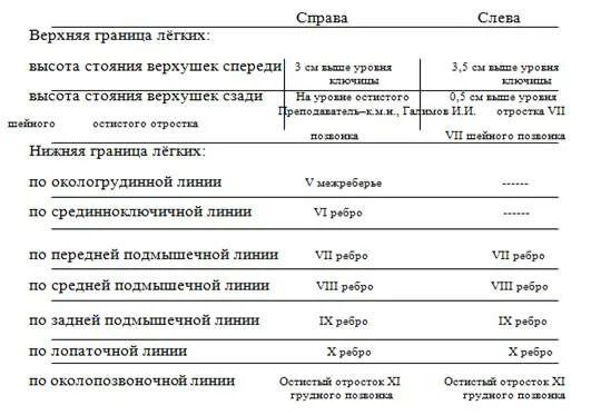 Верхушки легких в норме. Высота стояния верхушек легких в норме. Высота стояния верхушек легких у детей. Высота стояния верхушек легких спереди в норме. Топографическая перкуссия верхушки легких.