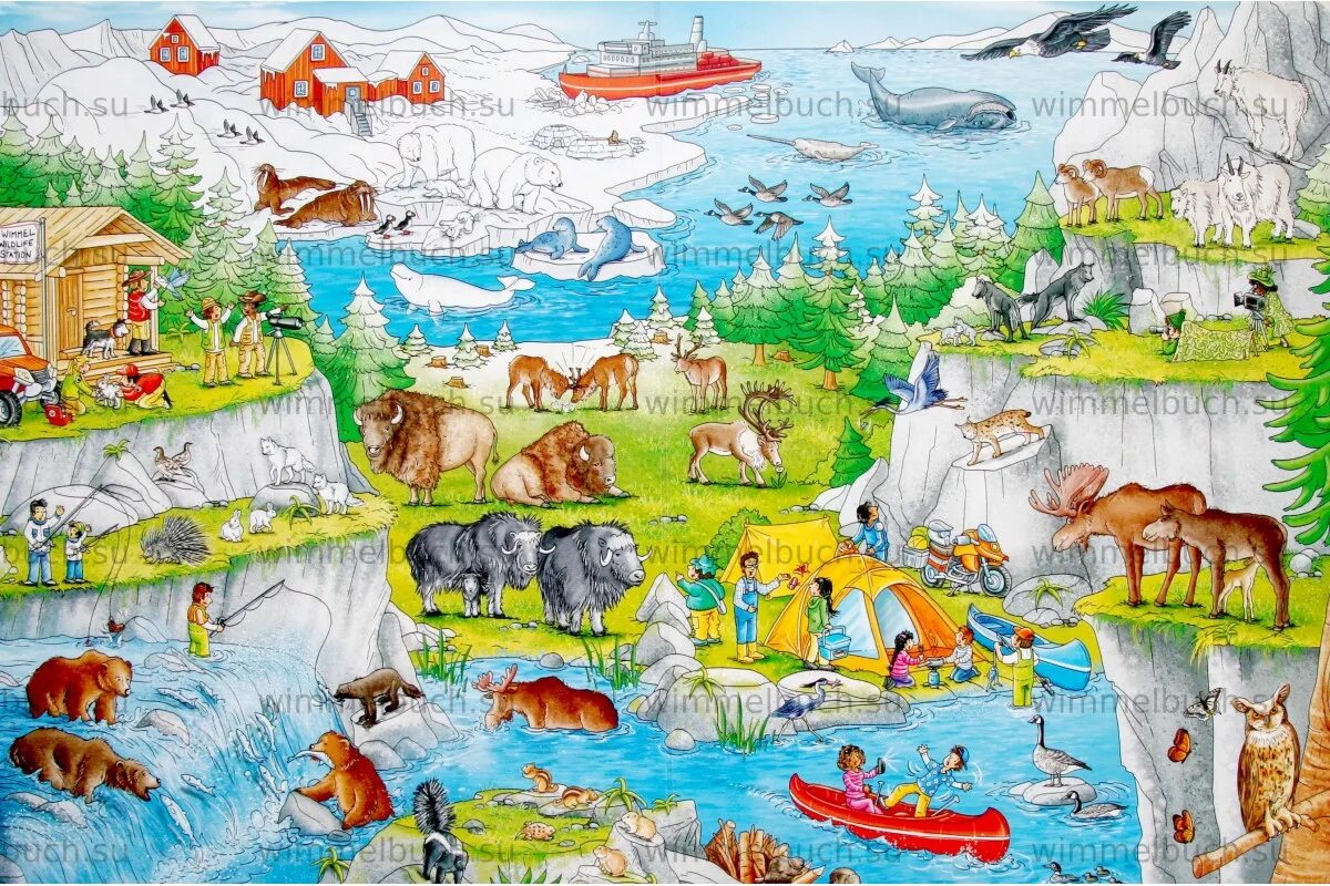 Виммельбух животные. Виммельбух для детей 2 лет. Виммельбух животные. Виммельбух анна сьюз в лесу. Виммельбух животные.