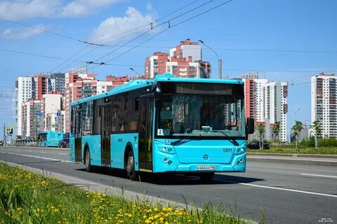 Лазурный автобус спб