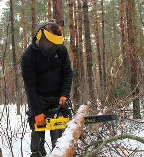 Бензопила рысь