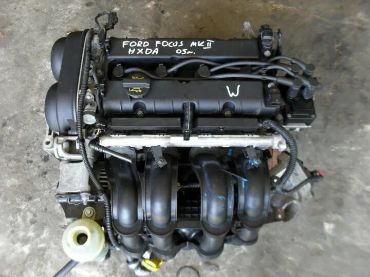 Двигатели форд 1.6 отзывы. ДВС Форд фокус 2 1.6. Мотор 1,6 фокус 2. Двигатель Форд фокус 2 1.6 115. ДВС Форд фокус 1.6 100 л с.
