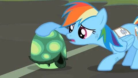 Rainbow petting